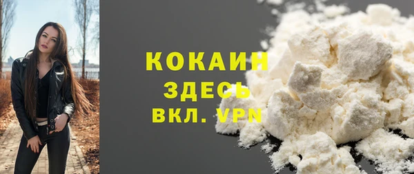 дмт Сатка