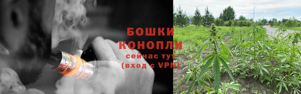 ПСИЛОЦИБИНОВЫЕ ГРИБЫ Белокуриха