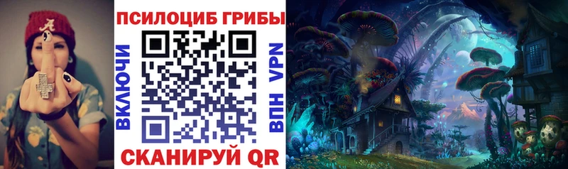 Галлюциногенные грибы Magic Shrooms  Петрозаводск 
