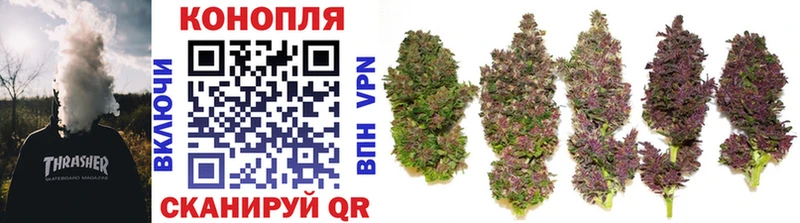 blacksprut вход  Петрозаводск  Каннабис VHQ 
